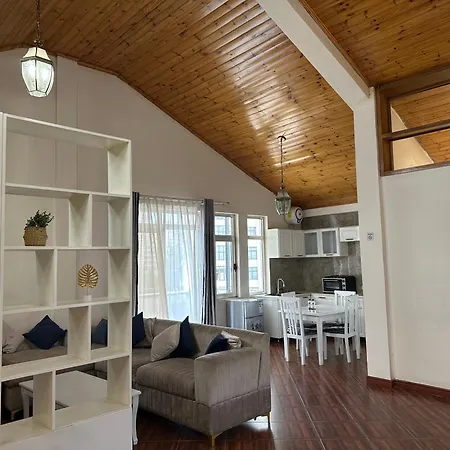 Social House-2